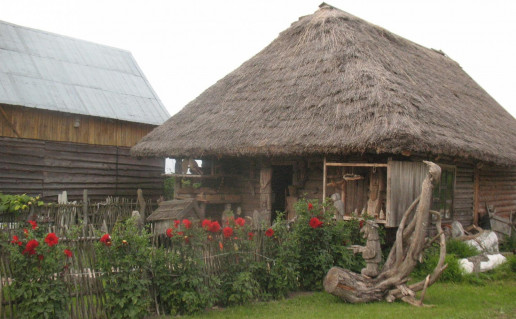 37_K.Striaupos kletele.A. Brazdeikytes n.jpg